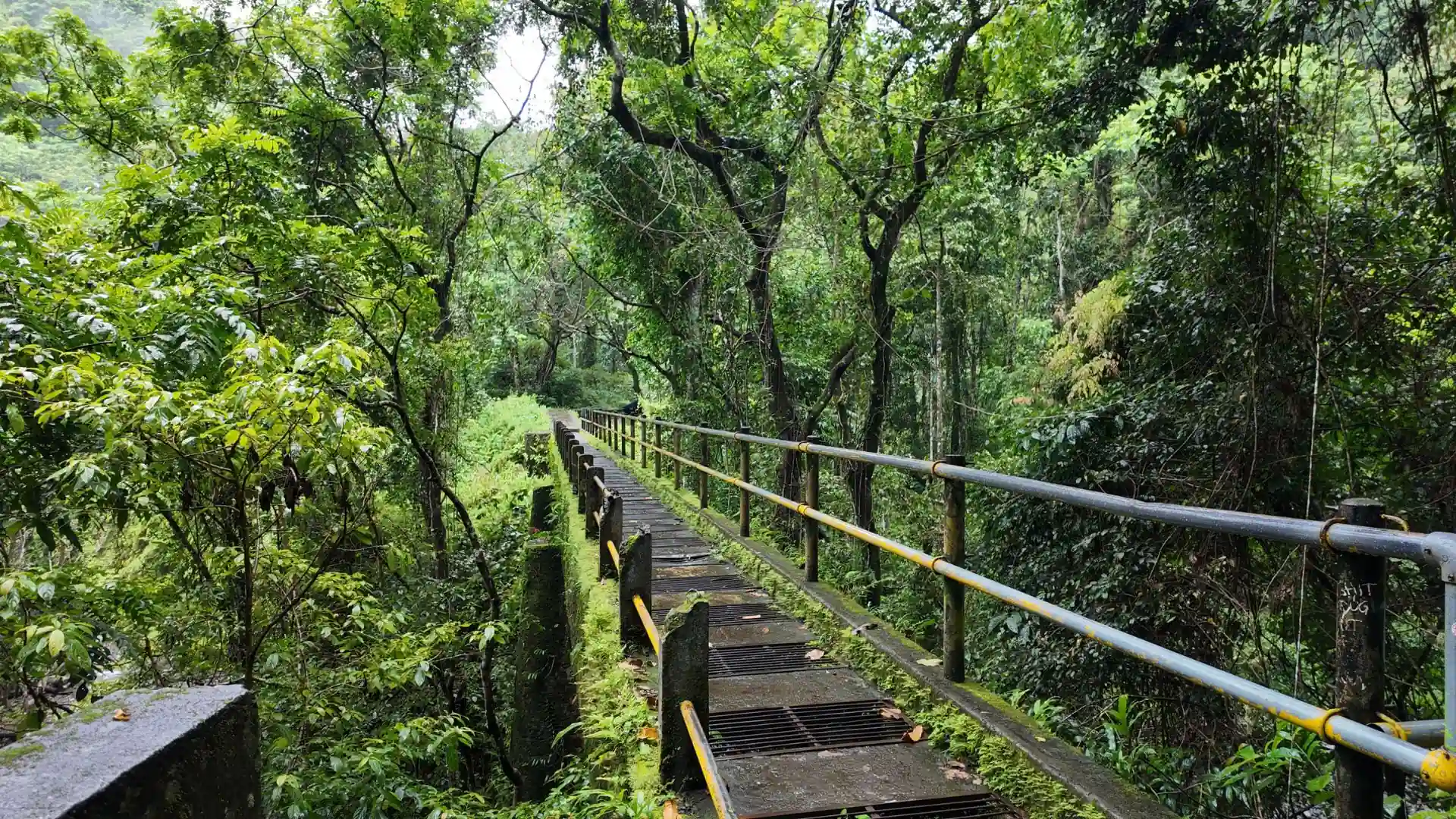 Aquaduct Senaru Waterfall Trail