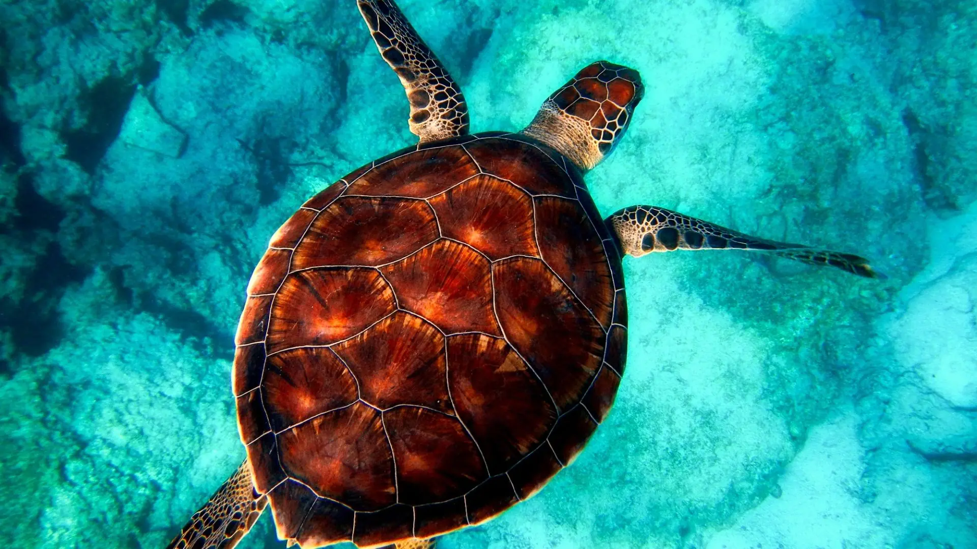 The Gili Islands