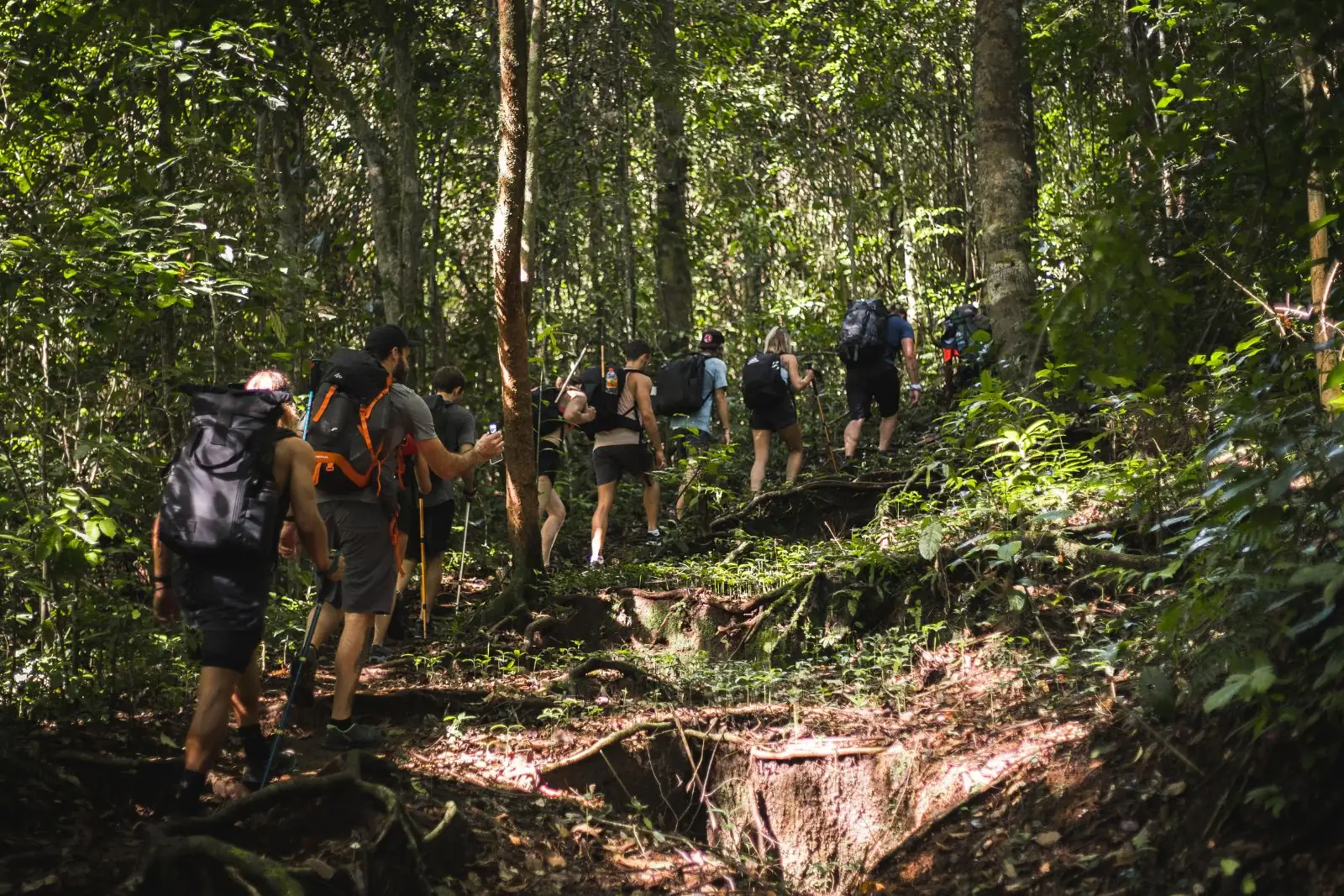 Mount Rinjani Rainforest Trek