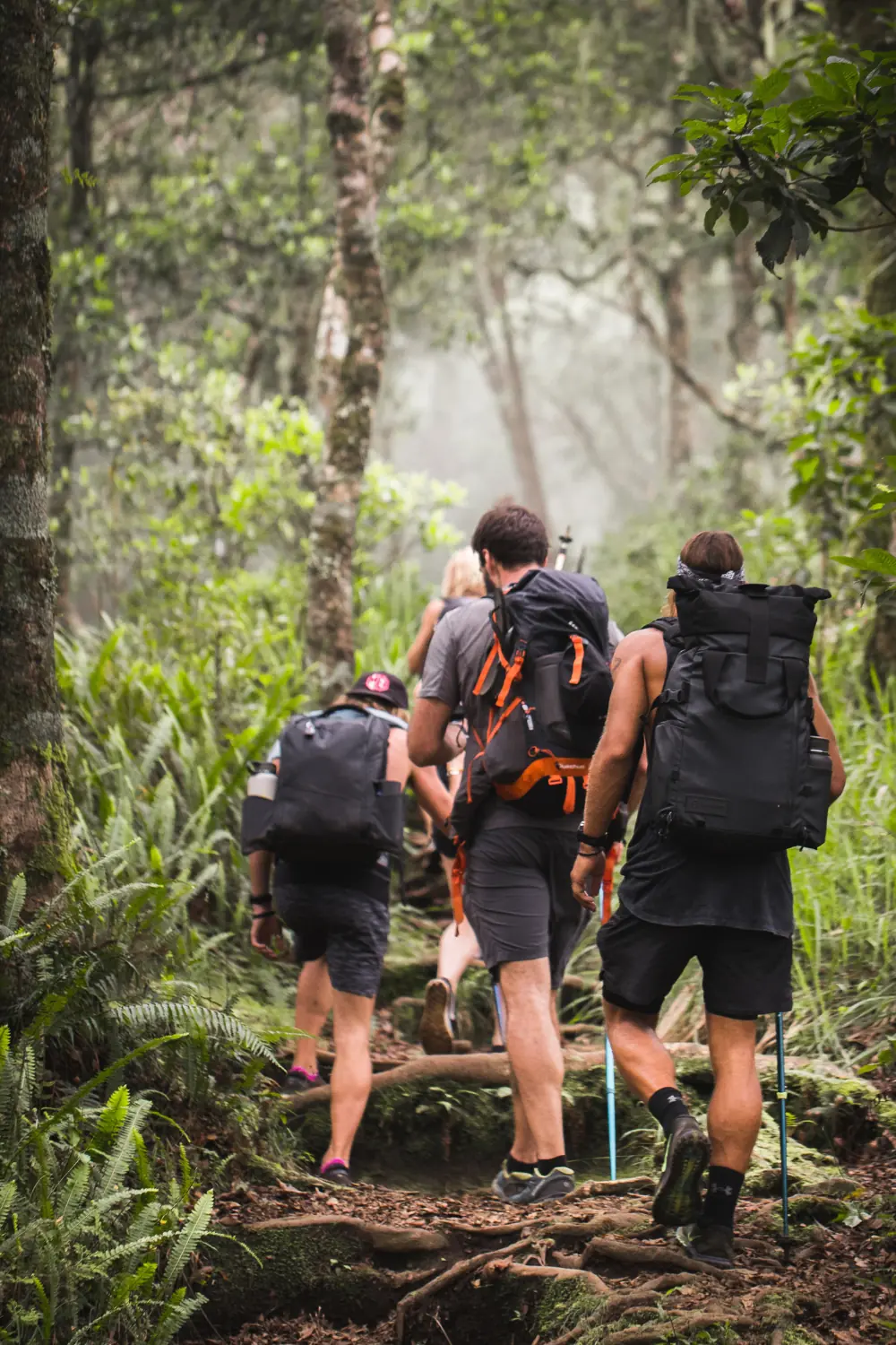 Rainforest trek Lombok Venture Beyond Expeditions