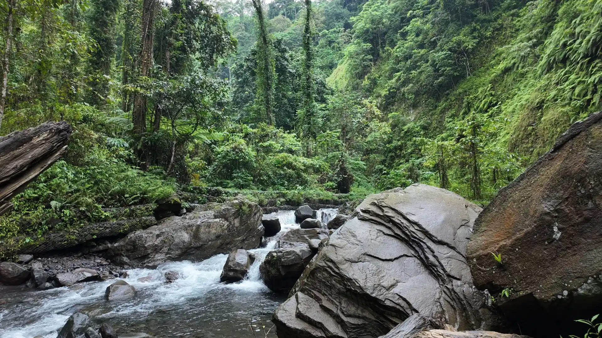 River Senaru Waterfalls Tiu Kelep