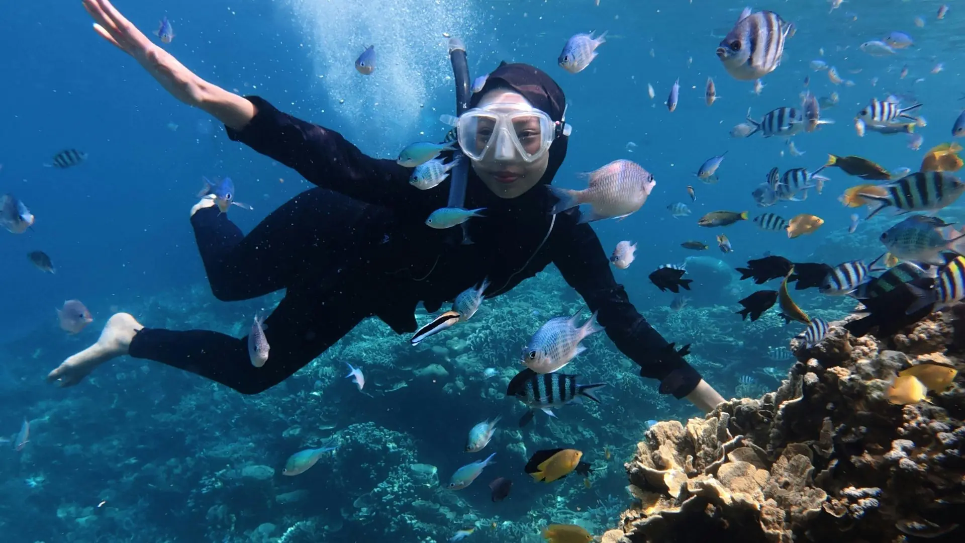 School Snorkelling