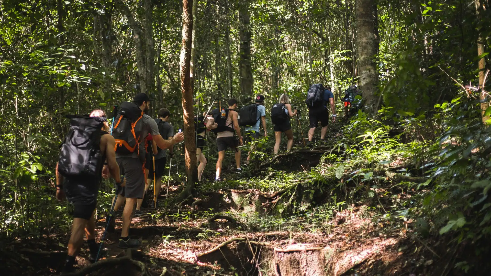 Senaru Crater Rim Trek Rainforest Trail