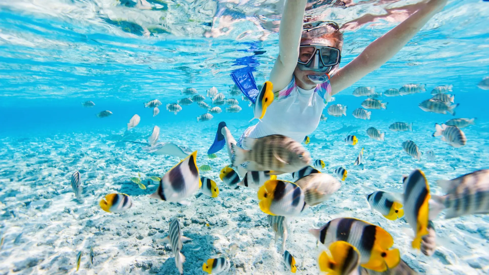 Snorkelling with tropical fish