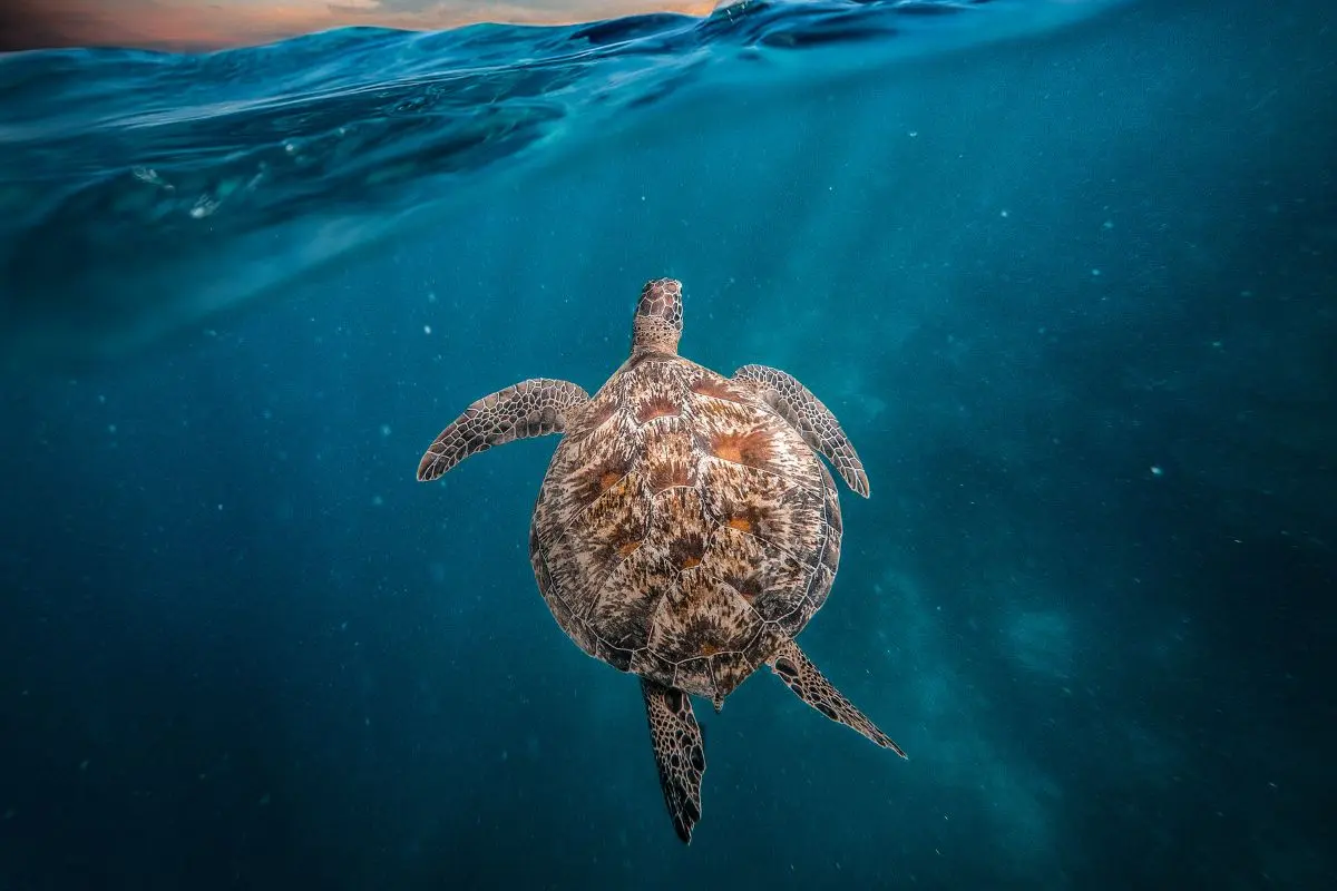 Venture Beyond Gili Islands School Expedition