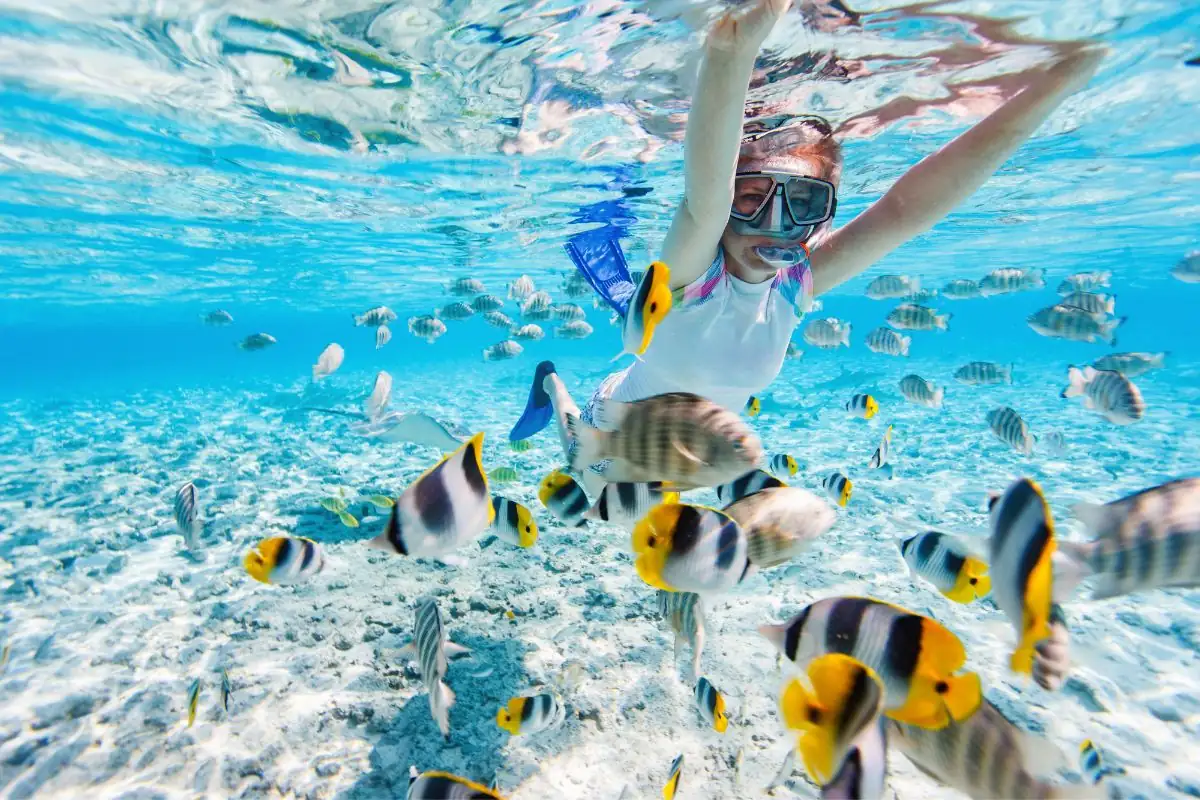 Venture Beyond Gili Islands School Trips